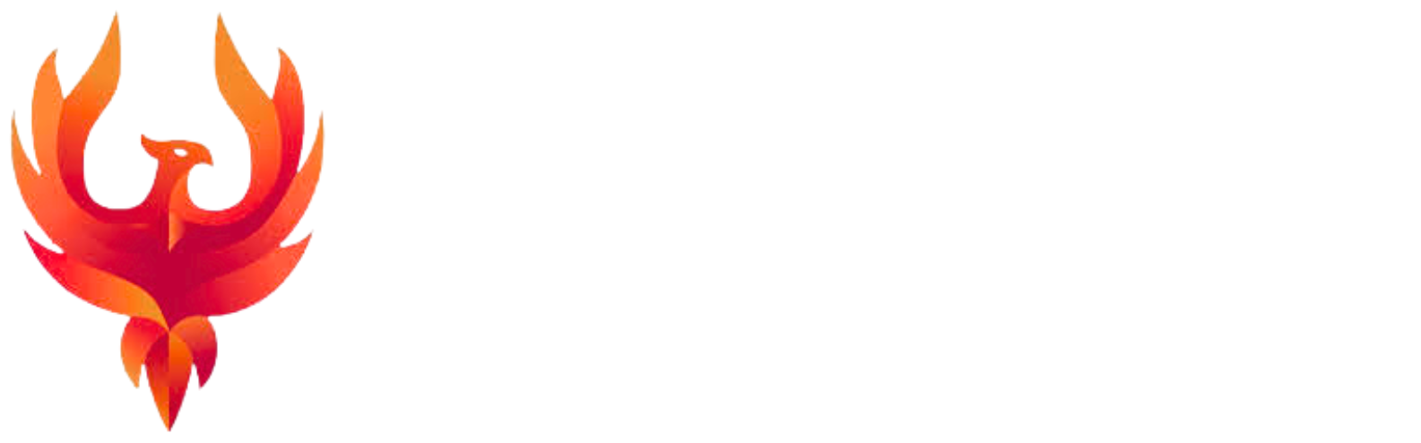 Phoenix Building Solutions
